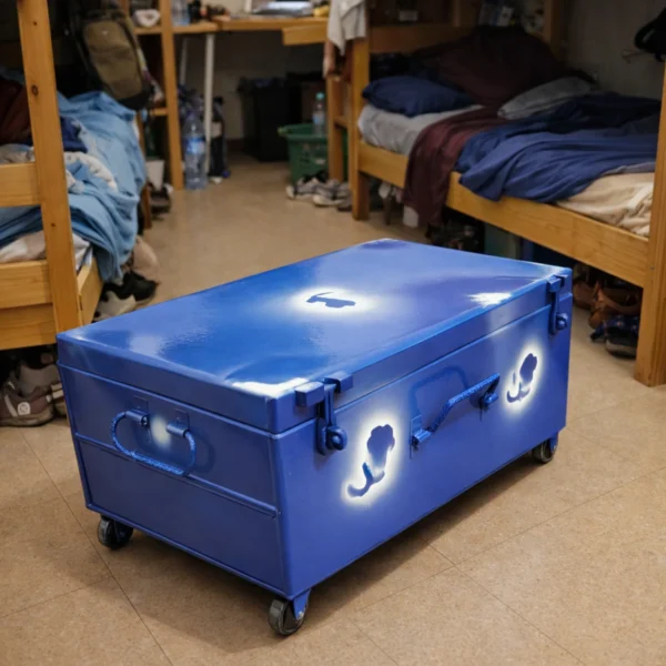 Home Metalic Suitcae for School with wheels1